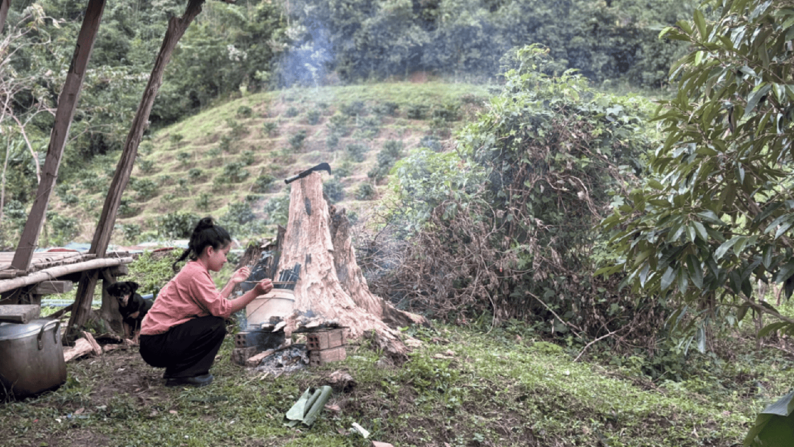 Trekking Chu Yang Sin National Park in a day (3)